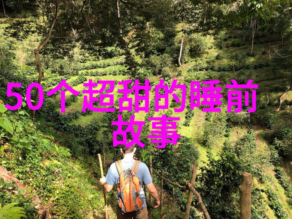 战史风云英勇战士们的史诗传奇