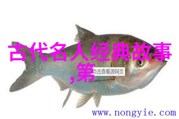 谁来掏出龙具探秘神秘传说中的宝物