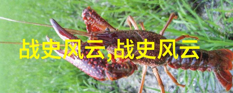 古老传说中的奇迹12个引人入胜的神话故事神话故事集古代民间传说奇幻冒险
