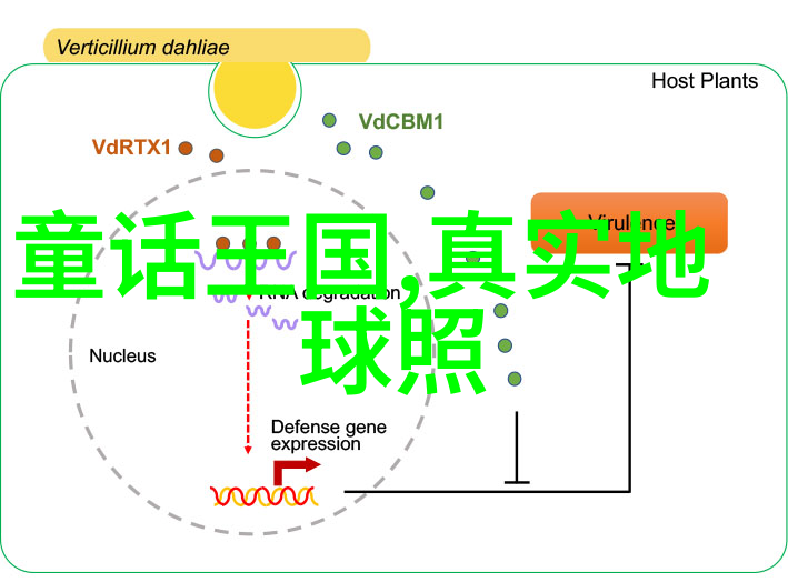 豫剧演员贾燕妮最悲伤的豫剧唱段