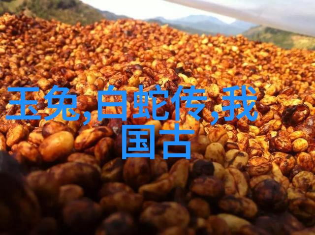 时光长河中的历史篇章回顾与展望