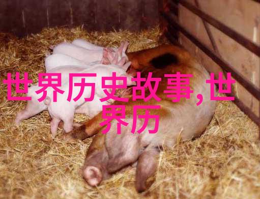 历史的长河15个令人震撼的故事回顾