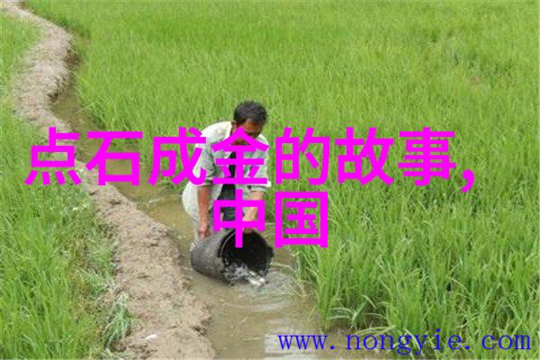 印度村庄发生飞鞋事件居民们纷纷提起诉讼要求政府赔偿损失