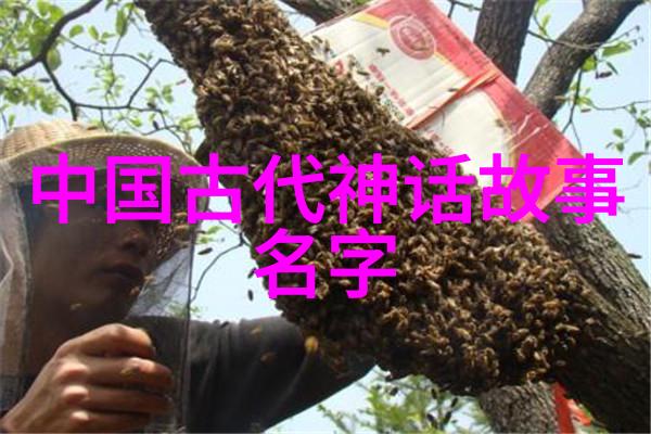 温暖的故事灯光下梦想的翅膀展开
