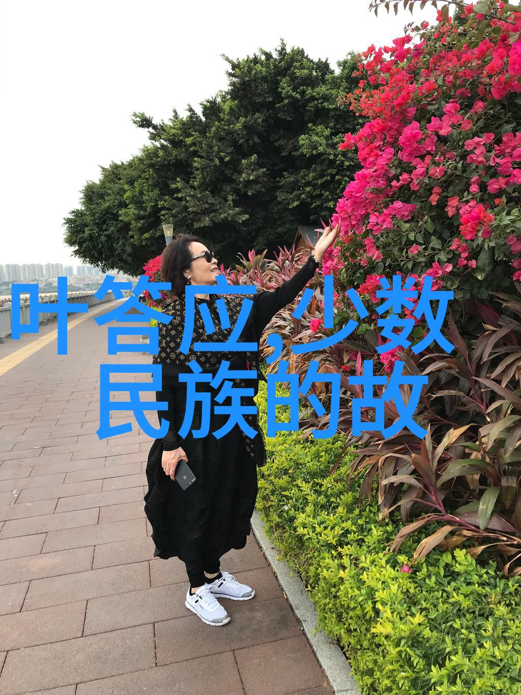 探索未知揭开野史之谜