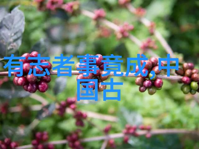 明朝四大奇案背后的十大悬案揭秘