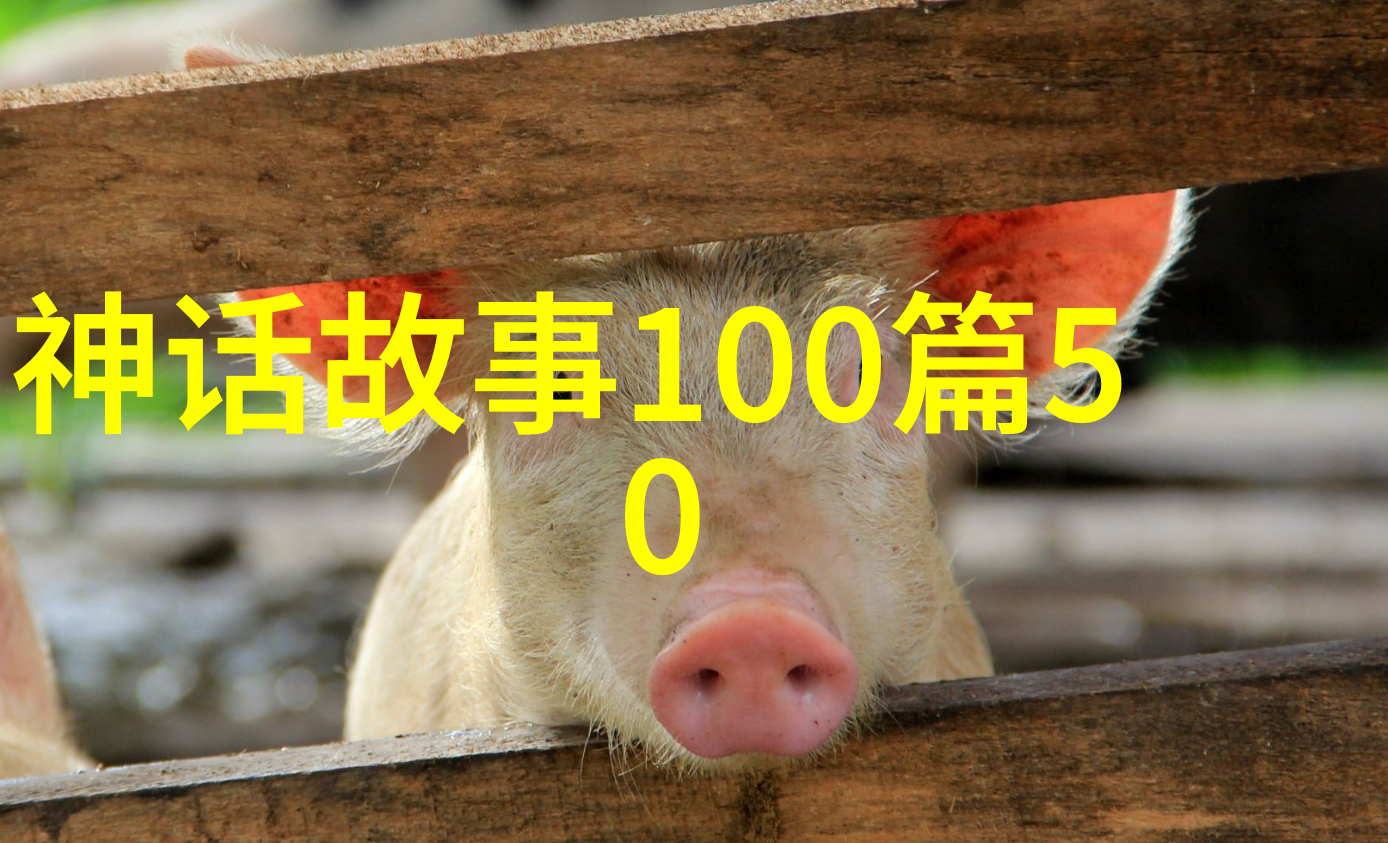 故宫深藏的秘密帝王们的私密会客是怎样的