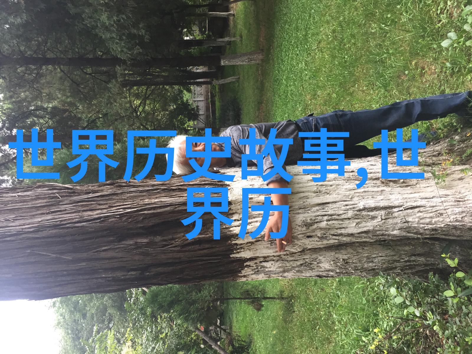 朱祁镇之称大明战神的由来明朝著名将领朱祁镇的军事成就与历史地位