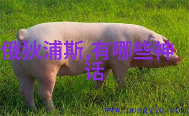 Twenty Four Dynasties in a Rhyme 为何能够跨越时间与地域而广受欢迎