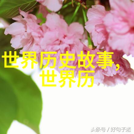 明朝在云南设立的6宣慰司至万历时仅剩车里司早于夏朝三百年而这些宣慰司如同古老物品一样见证了历史的沧桑