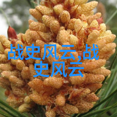 神话故事中的龙与凤凰传说中的寓意与象征