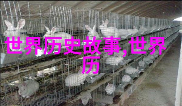 小学生神话故事我亲眼见证的那场龙与狐狸的奇遇