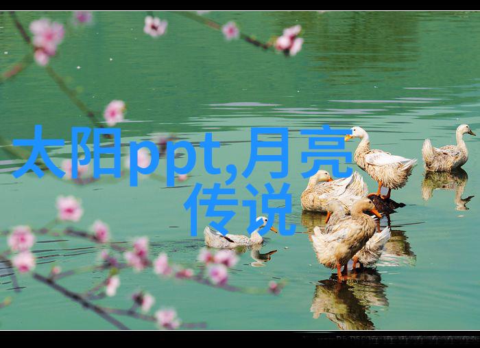 未知领域里的追逐真相50次意外60次惊讶一个世纪间不为人知的事实面貌展开全景图画