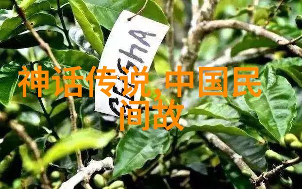 古代帝王宠儿的秘密生活皇家后宫中的情感纠葛与权力斗争