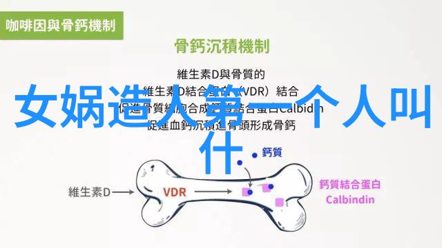 穿越千年见证中华文明发展中国各朝画像集锦