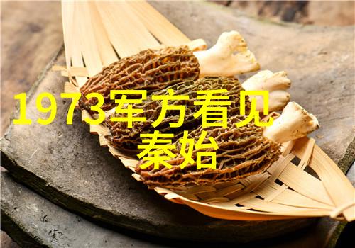 明朝末年朱棣北上与建文帝的悲剧