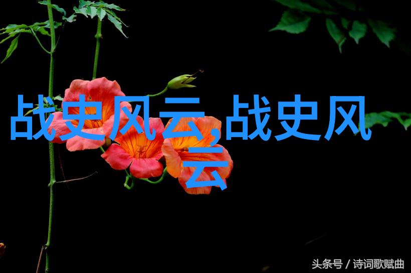 古代宫廷秘史揭秘皇帝妃子的内幕