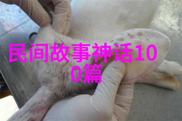 梦回瑶池云游仙子与忘返之恋