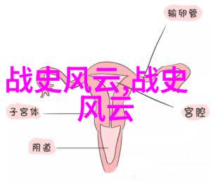 2021年天下奇闻异星文明遗迹在云南竹海发现