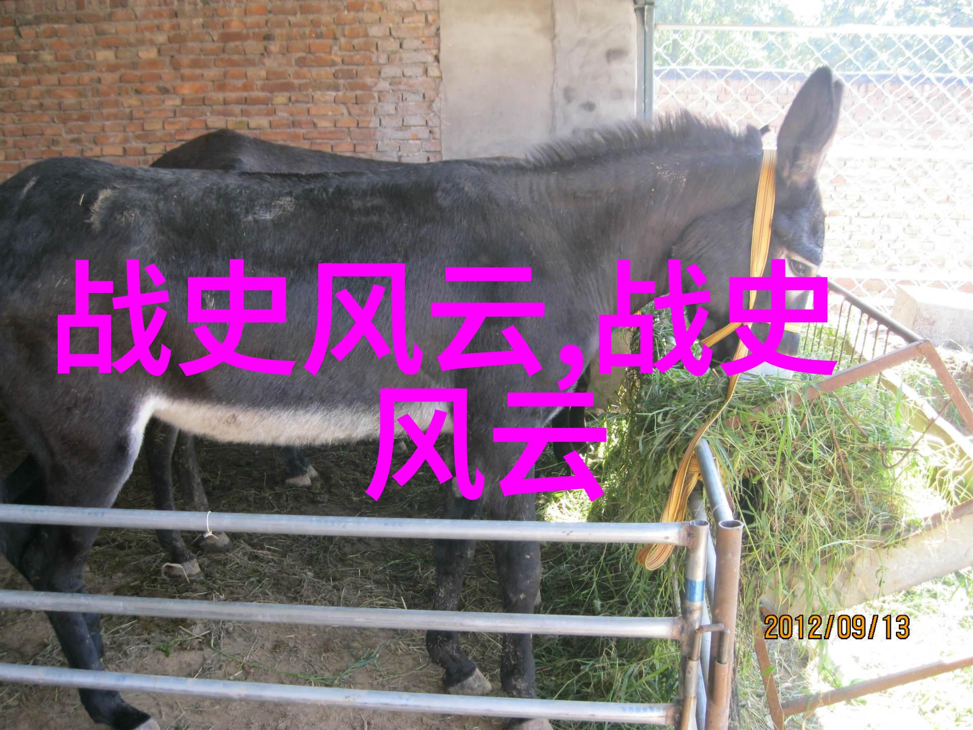 民间传说中的奇兽异族探秘