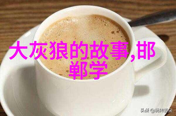 岁月的足迹小李与古代的探险