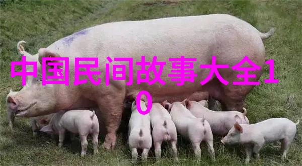 49式动作-灵活机动解读49式步枪在现代战场上的独特策略