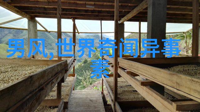 在国际上的影响力黄继光是否被广泛认知
