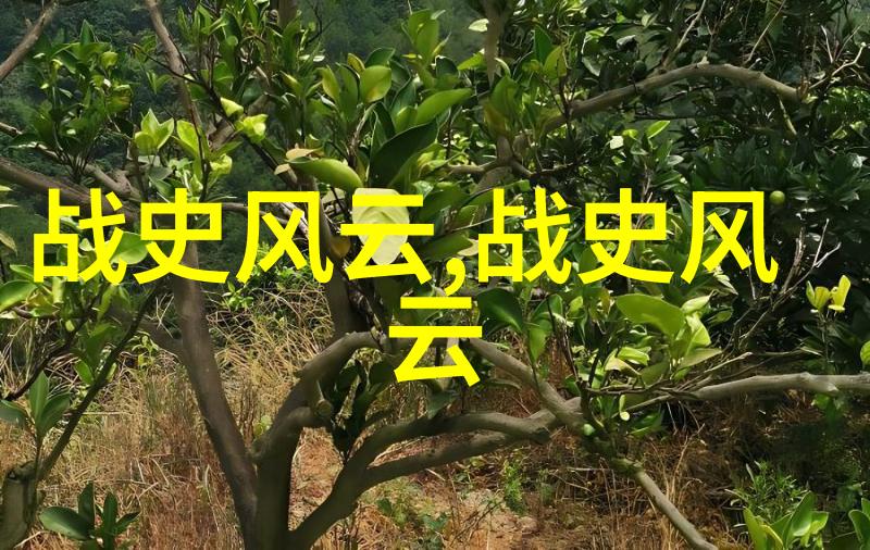国际象棋大师范涌泉的一生与对局传奇