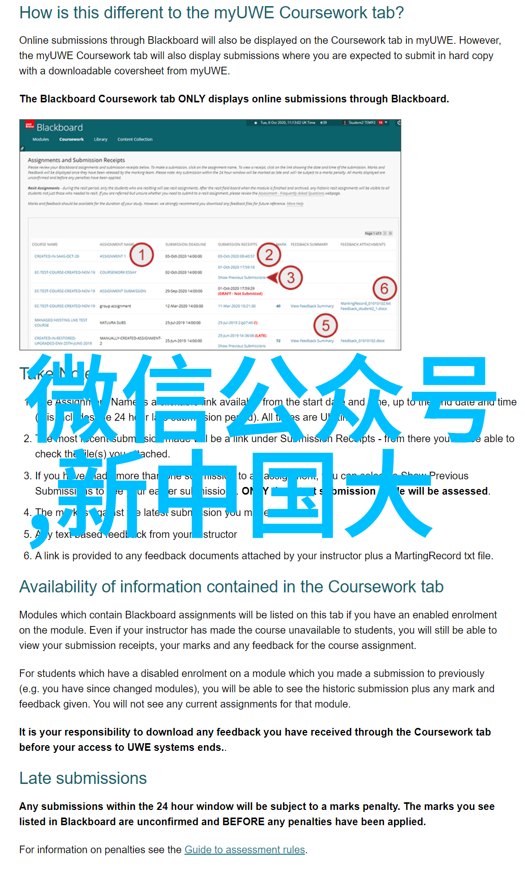 奇异遭遇2023年那些令人难以置信的故事