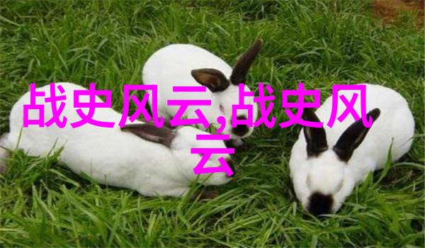 天空之树的秘密果实