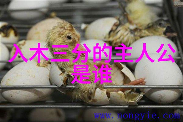中国神话故事典籍中国古代神话传说总结