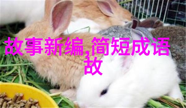 天降五行古代大洪水的神秘记忆