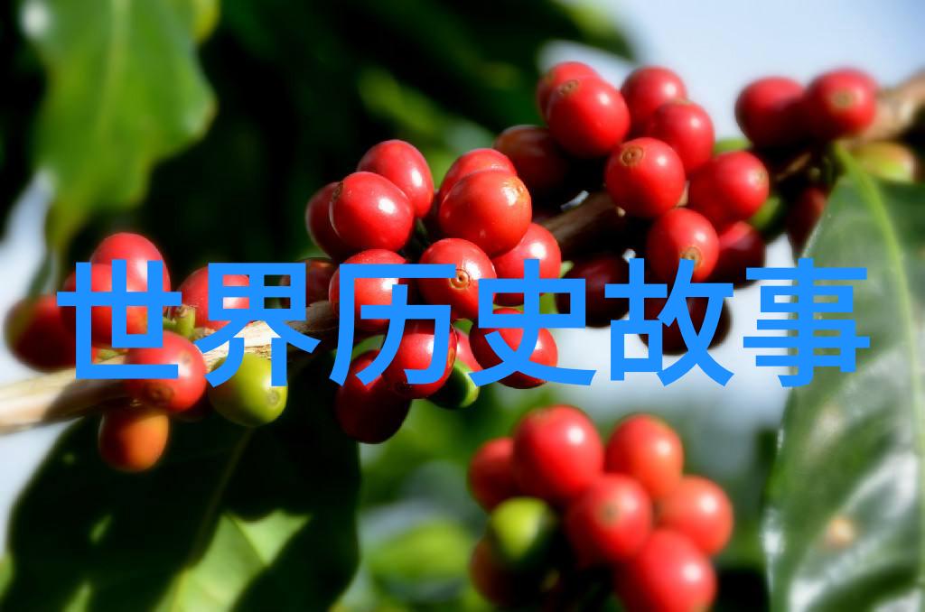 补牢之策探索亡羊补牢成语背后的智慧与故事