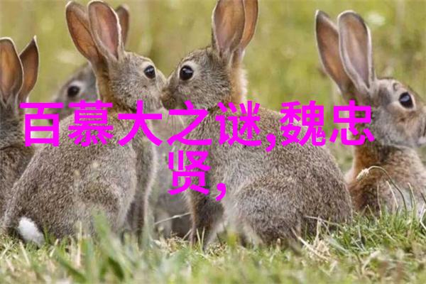 第五届黄梅戏艺术节盛大开幕闭幕式一举打破传统首次在天空下绽放此外黄梅戏电影版也将在本届艺术节中独家首