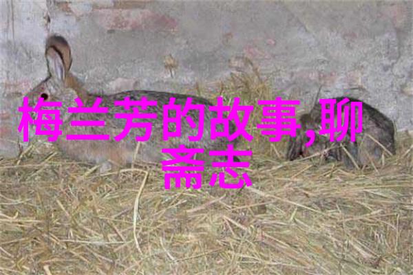 琼崖纵队研究解读海南抗日斗争中的民众武装力量