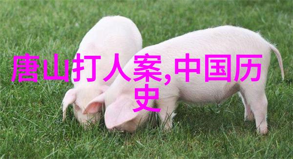 解密86年春晚惊悚背后的故事与文化象征