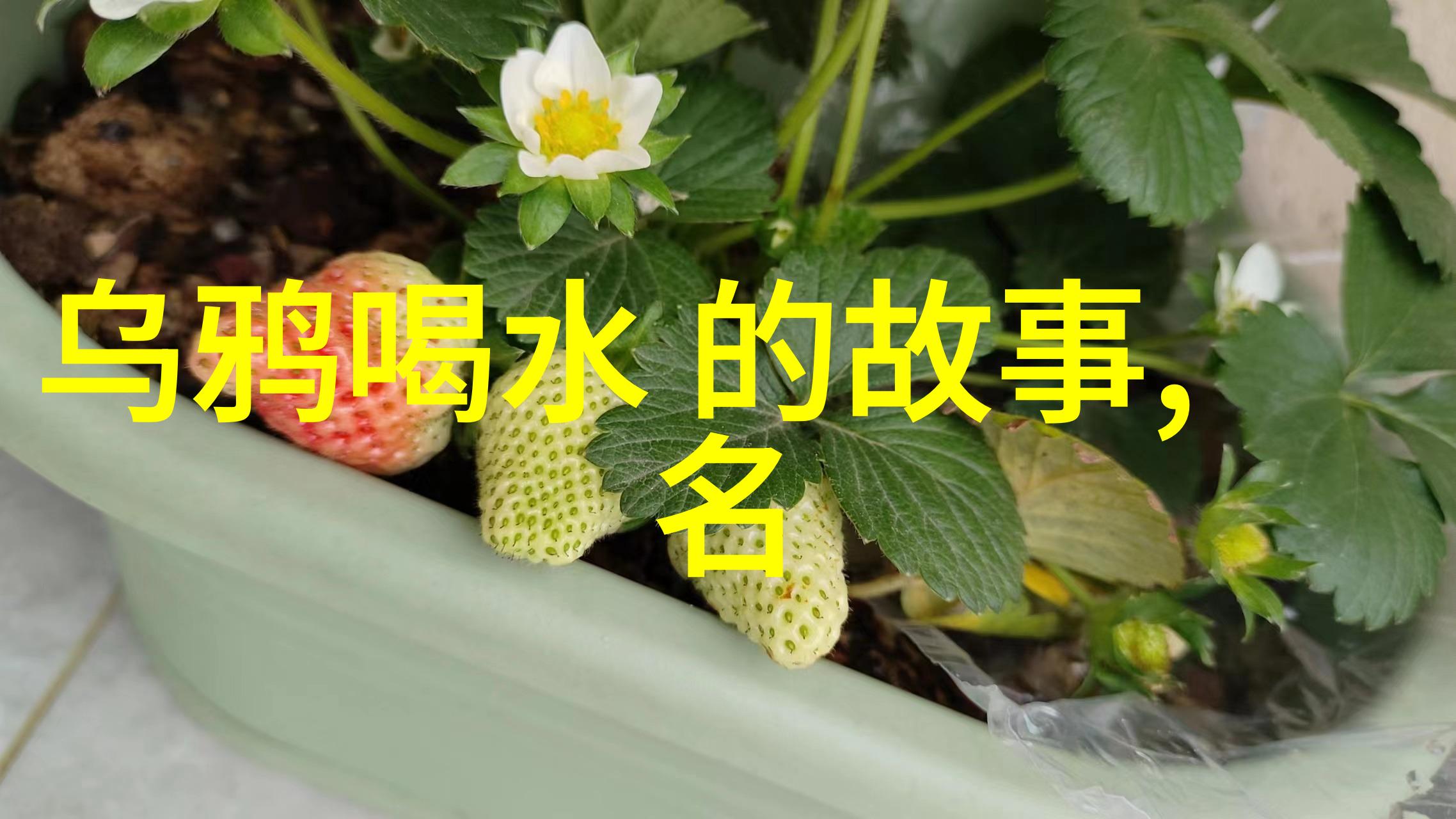 许桂枝黄梅戏中的龙女传说