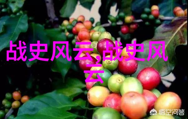 刘邦的野史我是如何让汉朝风雨不再的