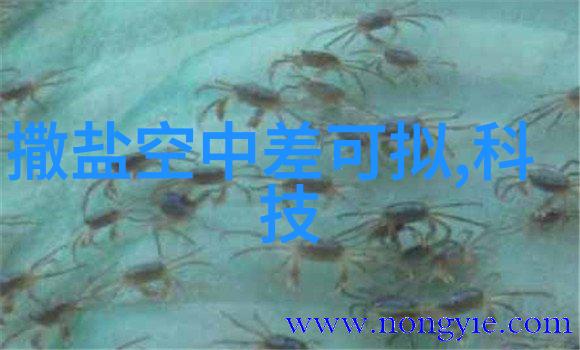 夜幕下的星级猎人追逐光影的奇迹