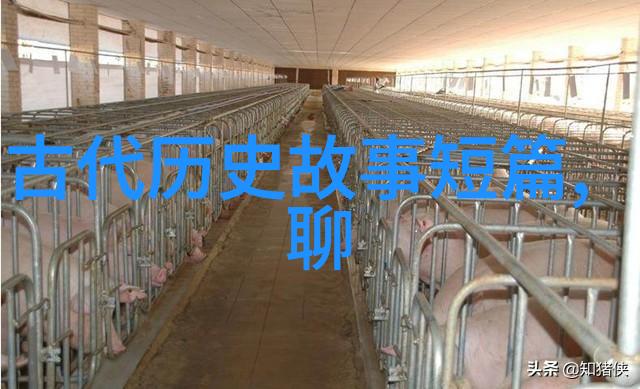 国内实力女歌手刘子瑞音色温暖心灵深邃