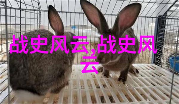 命犯桃花txt我是不是真的命里注定和桃花争艳