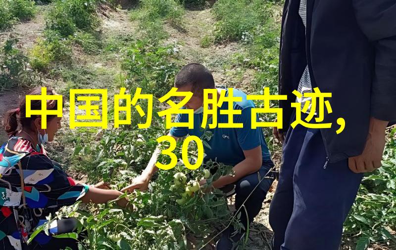 甜蜜的夹心饼干3pH皇上的诱惑