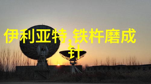 夫妻多情的谜团一夫多妻制度下的嫉妒与爱情