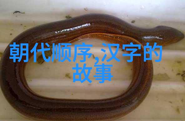 穿越古今探索中国神话传说的奇幻世界