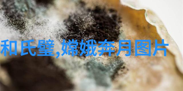 拿破仑征服欧洲怎样一步步上位