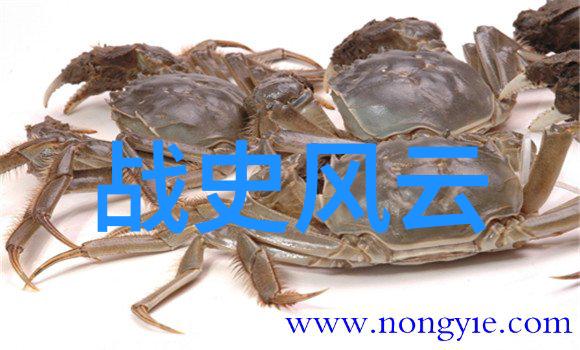 哪位唐代著名女诗人曾经不幸沦为妓