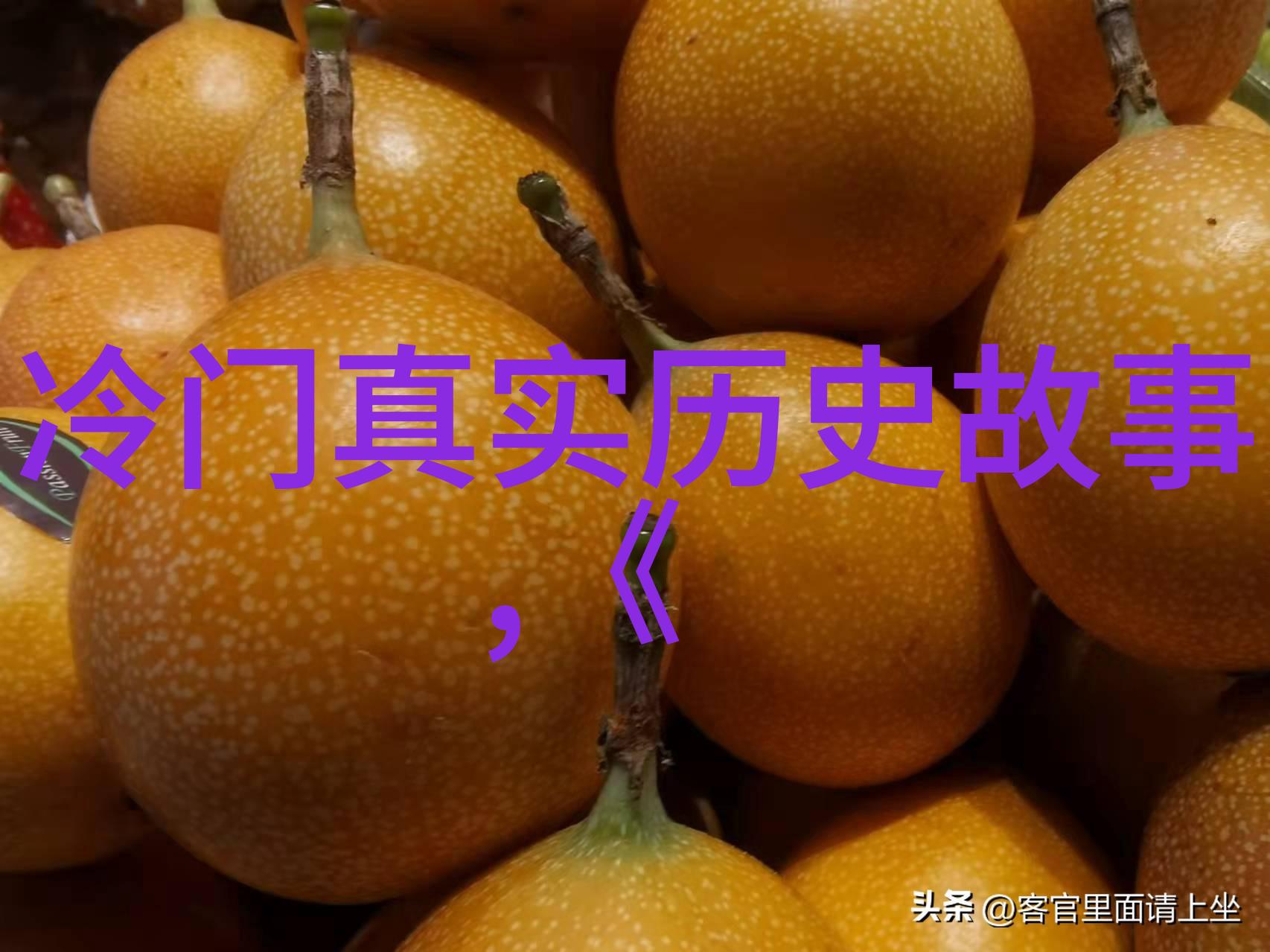哪些科学发现改变了我们对古埃及文明了解的事物