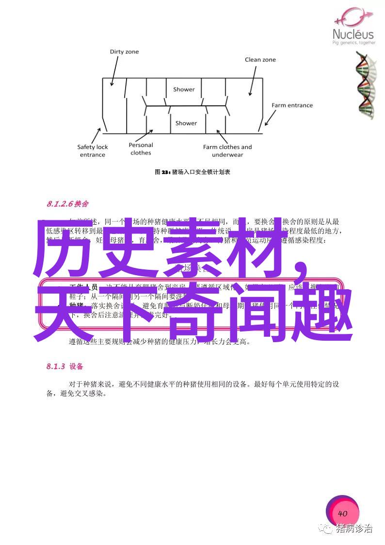 端午之谜揭秘粽子与龙舟的传说故事