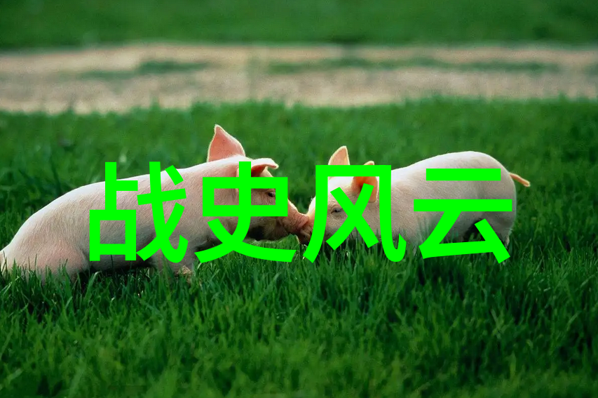 伍子胥一生的悲欢离合及对吴国兴衰的影响分析