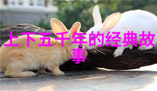 时间与记忆交织的红色篇章